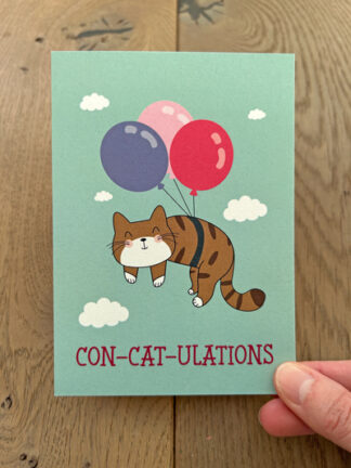 #5 – Con-cat-ulations