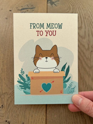 #6 – From meow to you