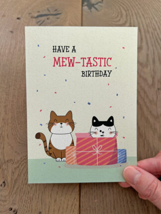 #23 – Have a mew-tastic birthday