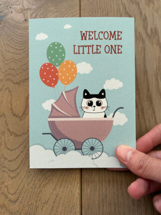 #28 – Welcome little one